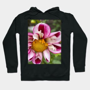 Pink Perfect Dahlia Hoodie